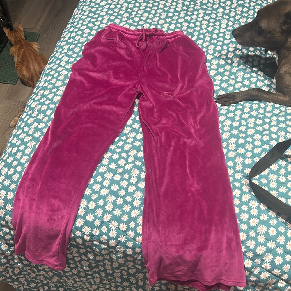 Purple, velvet pants